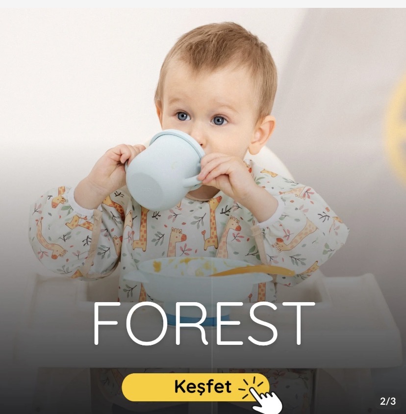 Forest — Keşfet